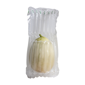 Container Inflatable Air Bags1824