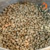 Kidney Bean83457