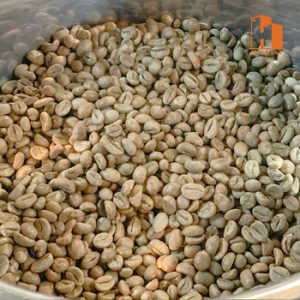 Kidney Bean83457