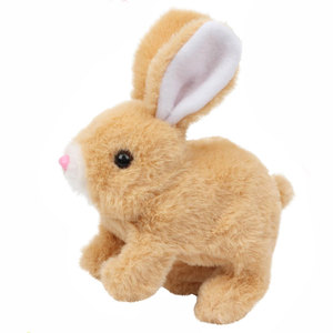 Squeaky Pet Toys1607