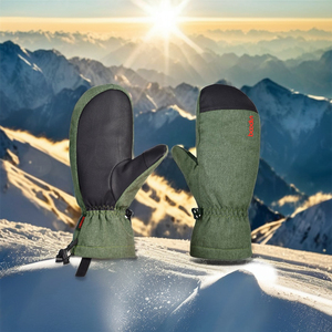 Ski Gloves5069