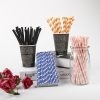 Disposable Straws2912