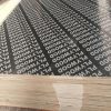 Plywood1131