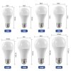LED Light Bulbs1749