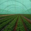 Garden Mesh Netting13542