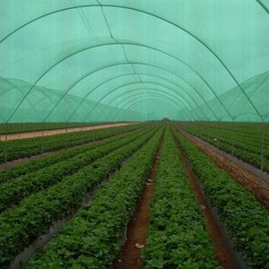 Garden Mesh Netting13542