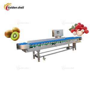Fruit Vegetable Sorting Machine21342