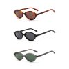 Sunglasses15485