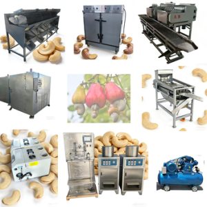 Pecan Kernels81474