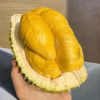 Fresh Durian83357