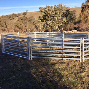 Fencing Protective Gear11174