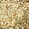 Nut Kernel Snacks84098