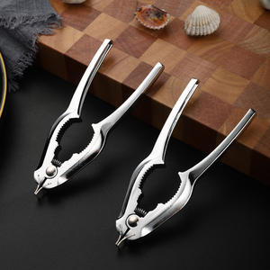 H020204a33b9846d1b3310fff75ffc0198_300x300