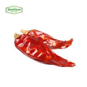 Fresh Chili Pepper53338