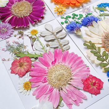 Dried Flowers86440