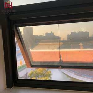 Basement Windows14926