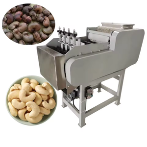 Other Nut Processing Machines27181