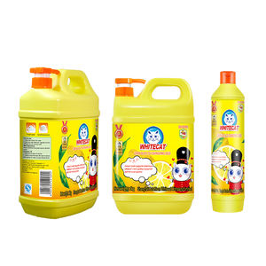 Dishwashing Liquid72933