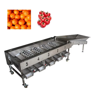Fruit Vegetable Sorting Machine34512