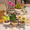 Plush Plant Plushies34006