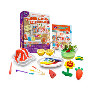 STEM Educational Science Toys11343