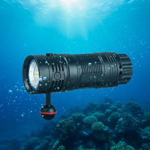 Diving Flashlights17950