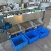 Sorting Separator Machines20674