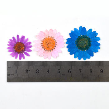 H27e588f9058f43c5bcd6747118a779beE_350x350