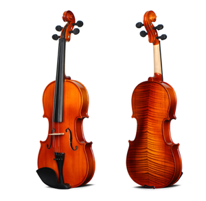 Violin Musical Instruments13713
