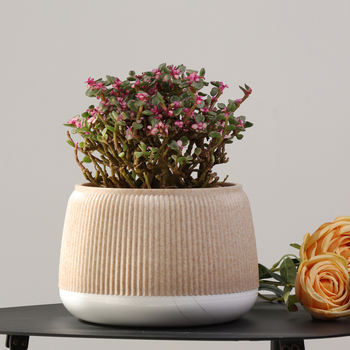 Tabletop Decor Vase84902