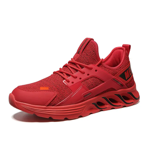 Rechargeable Heated Shoes21171