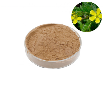 Plant Extracts99504