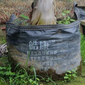 Seedling Pot27711