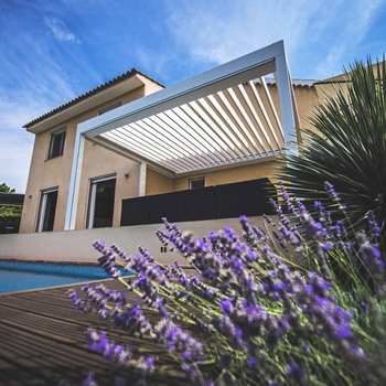 Sunshade & Grape Trellis85716
