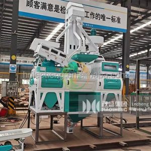 Rice82174