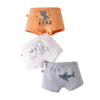 Boys Underwear15534