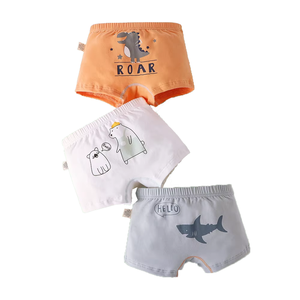 Boys Underwear15534
