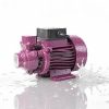 Water Pumps11517
