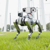 Security Robots31540