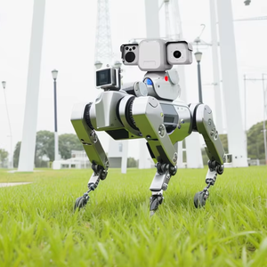 Security Robots31540
