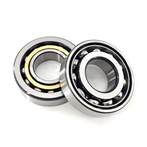 Self-aligning Ball Bearings25110
