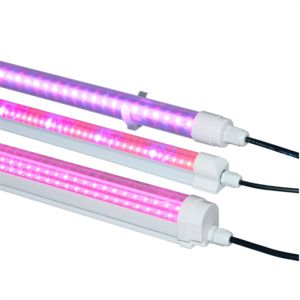 Fresh Produce LED Lights10746