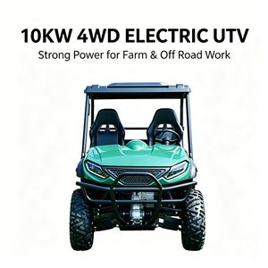 Electric UTVs36352
