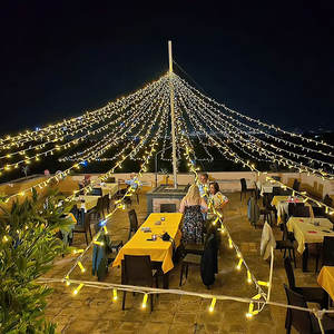 Christmas Lights21828