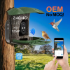 Bird Feeder Camera85727