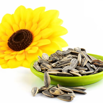 Sunflower Seed Kernels78496