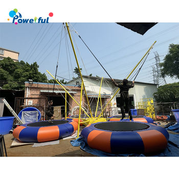 Bungee Jumping98201