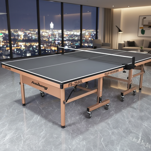 Table Tennis Tables17481
