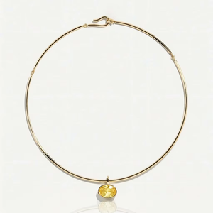 Fashion Clavicle Chain25845