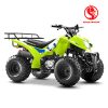 Electric ATV38536